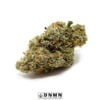 White Rhino - Buy Weed Online - Dispensary Near Me Now