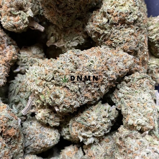 White Rhino - Cheap Weed Canada - Dispensary Near Me Now