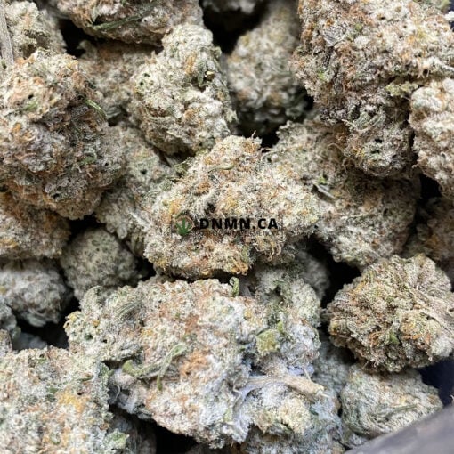 White Widow - Online Dispensary Canada - Dispensary Near Me Now