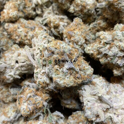 Zombie Kush - Online Dispensary Canada - Dispensary Near Me Now