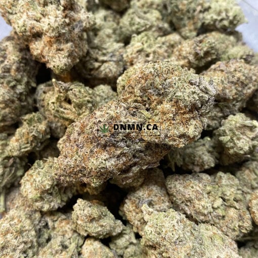 Cookie Puss - Online Dispensary Canada - Dispensary Near Me Now