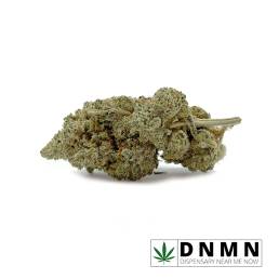 Gas Mask | Buy Weed Online | Dispensary Near Me