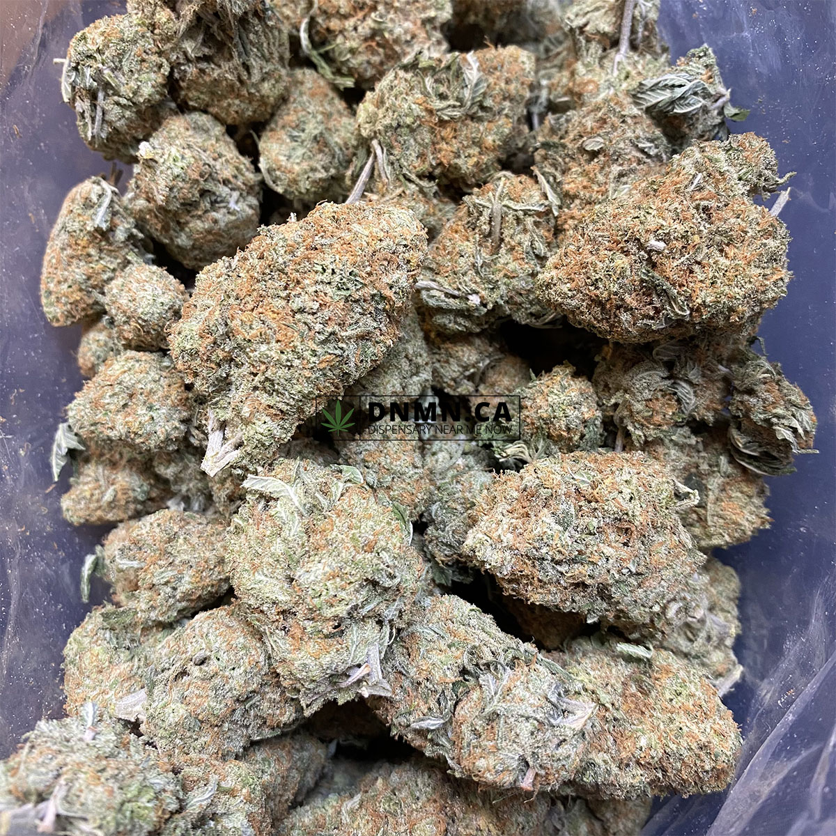 Girl Scout Cookies - Cheap Weed Canada - Dispensary Near Me Now