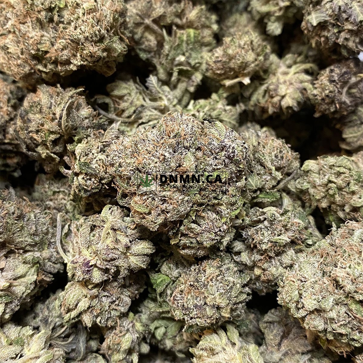 Mango Haze - Online Dispensary Canada - Dispensary Near Me Now