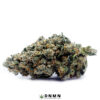 Maui Pineapple Chunk - Buy Weed Online - Dispensary Near Me Now