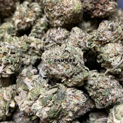 Purple Snoop Dogg - Online Dispensary Canada - Dispensary Near Me Now