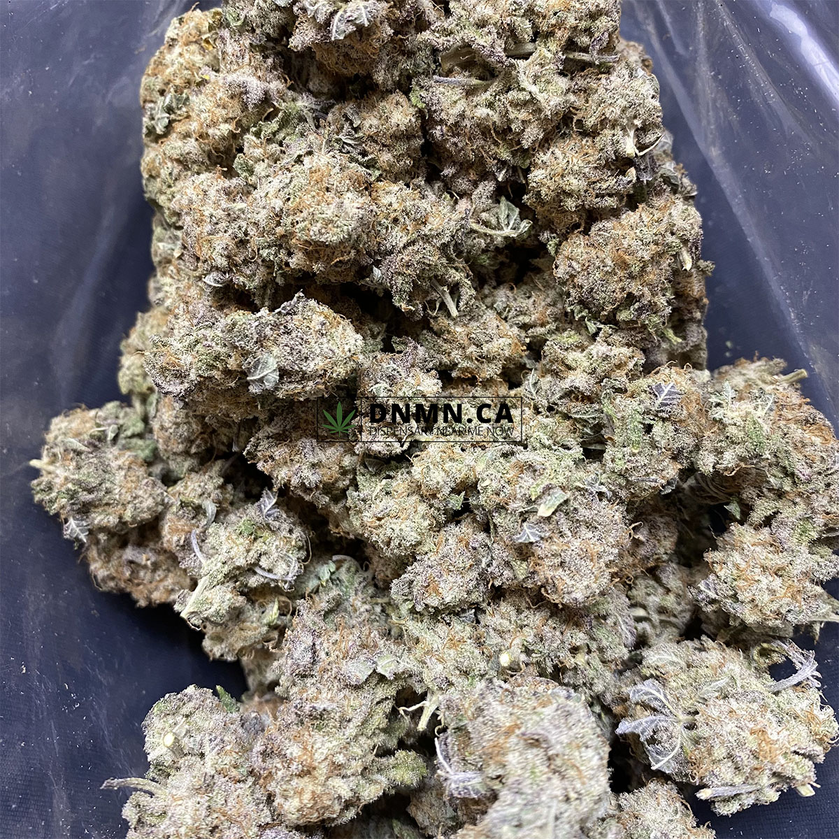 Purple Urkle - Cheap Weed Canada - Dispensary Near Me Now