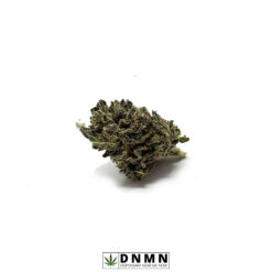 Shishkaberry aka Blue Dream - Buy Weed Online - Dispensary Near Me Now