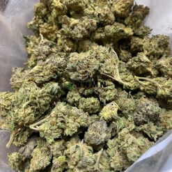 Shishkaberry - Cheap Weed Canada - Dispensary Near Me Now