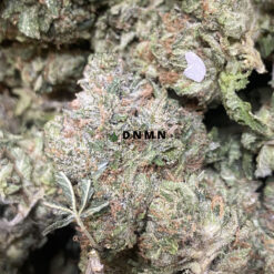 Sour Kush - Online Dispensary Canada - Dispensary Near Me Now