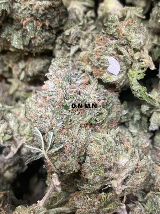 Sour Kush - Online Dispensary Canada - Dispensary Near Me Now