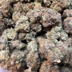Meat Breath - Cheap Weed Canada - Dispensary Near Me Now