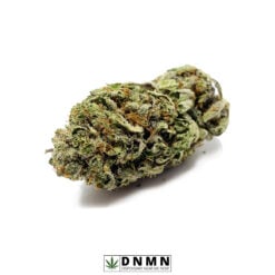 Black Tuna - Buy Weed Online - Dispensary Near Me Now