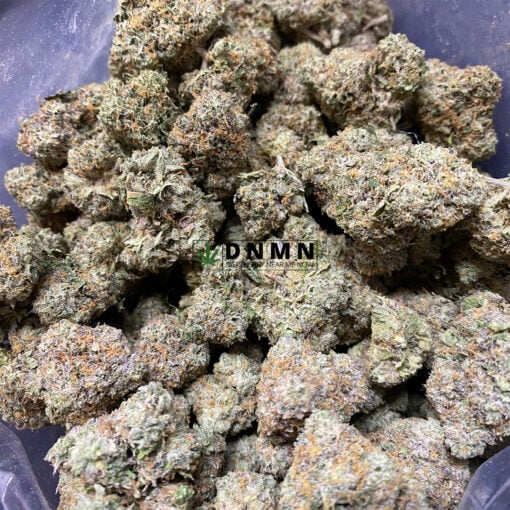 Bubblegum - Cheap Weed Canada - Dispensary Near Me Now