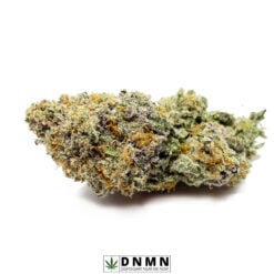 Grape Punch - Buy Weed Online - Dispensary Near Me Now