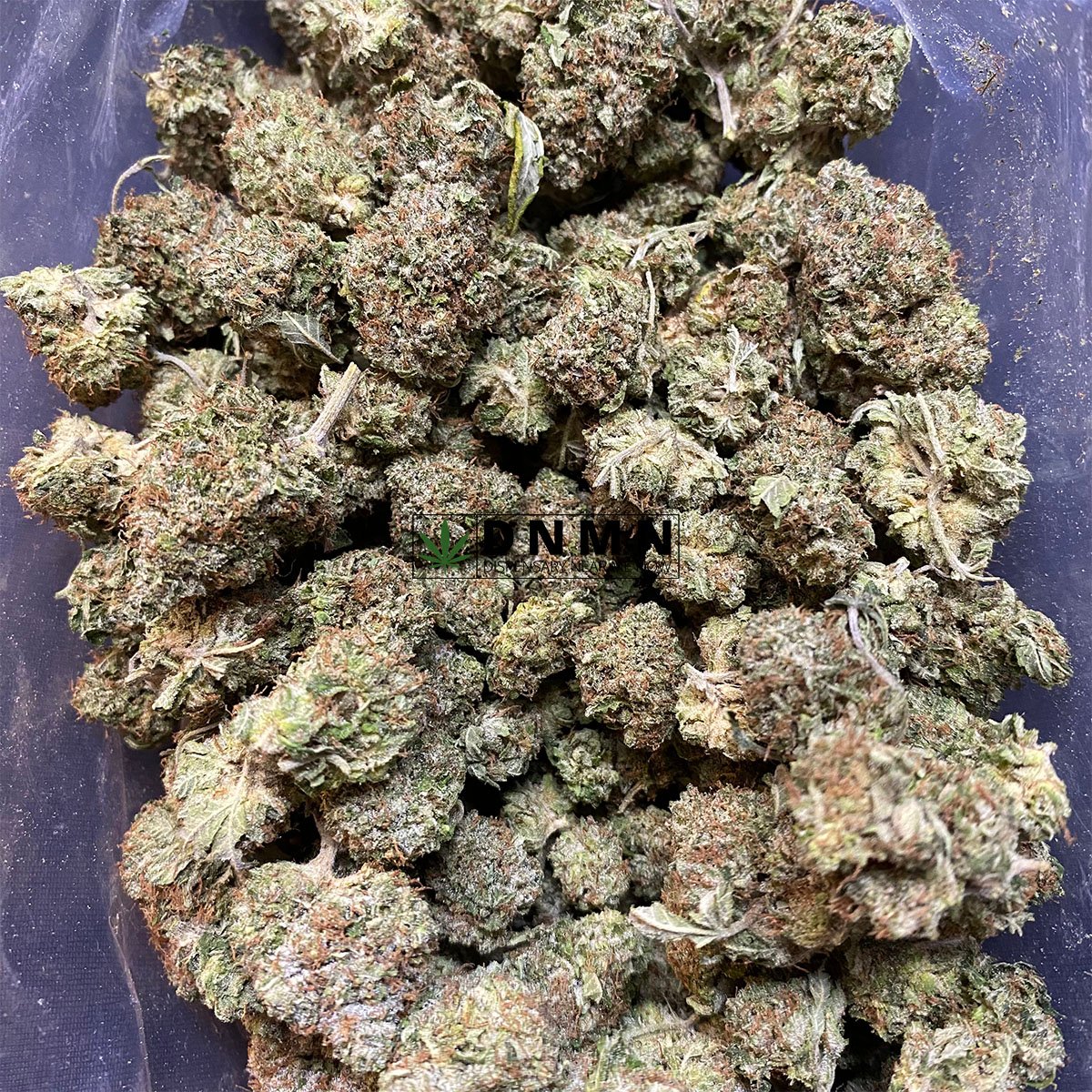 Pink Kush - Online Dispensary Canada - Dispensary Near Me Now