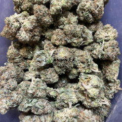 Pink Star - Cheap Weed Canada - Dispensary Near Me Now