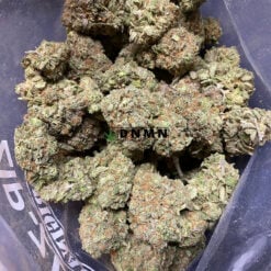 Purple Runtz - Cheap Weed Canada - Dispensary Near Me Now