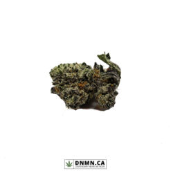 Purple Space Cookies - Buy Weed Online - Dispensary Near Me Now