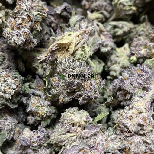 Purple Space Cookies - Online Dispensary Canada - Dispensary Near Me Now