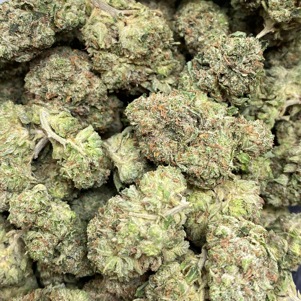Tom Ford Pink | Buy Weed Online| Dispensary Near Me