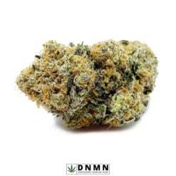 UK Cheese - Buy Weed Online - Dispensary Near Me Now