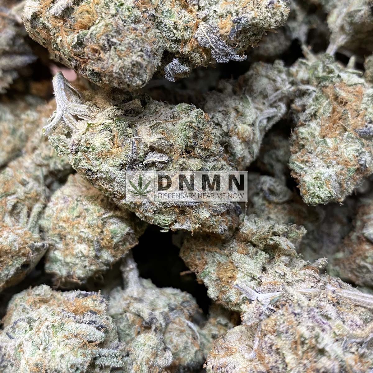 Purple Punch - Bulk Weed in Canada - Dispensary Near Me