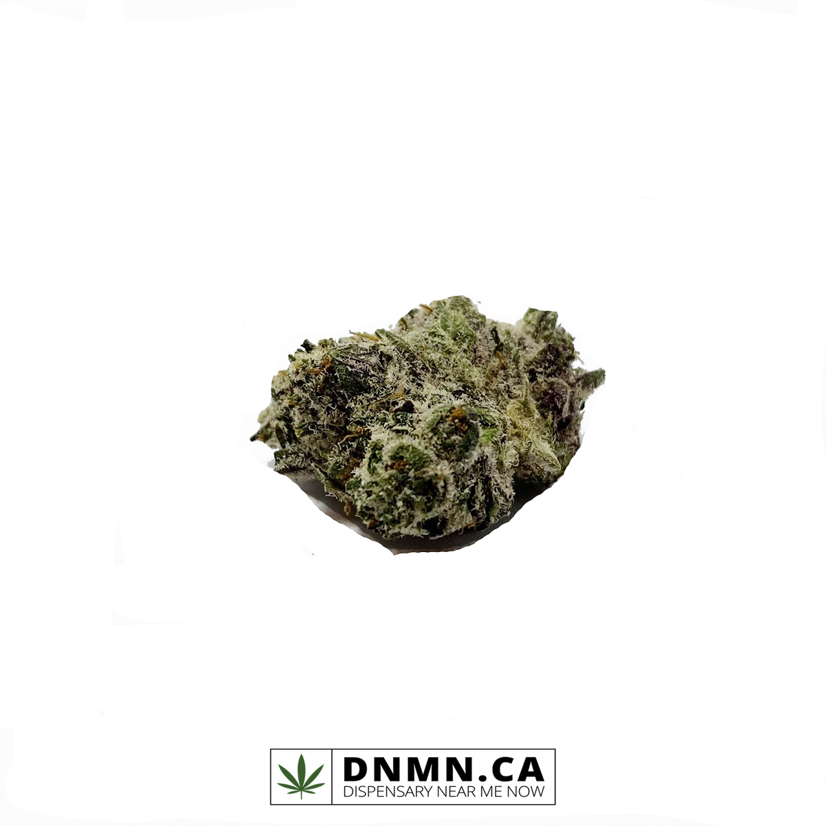 Cactus Breath Small - Buy Weed Online - Dispensary Near Me Now