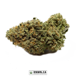 Alaskan Thunder Fuck - Buy Weed Online - Dispensary Near Me Now