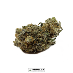 Animal Cookies - Buy Weed Online - Dispensary Near Me Now