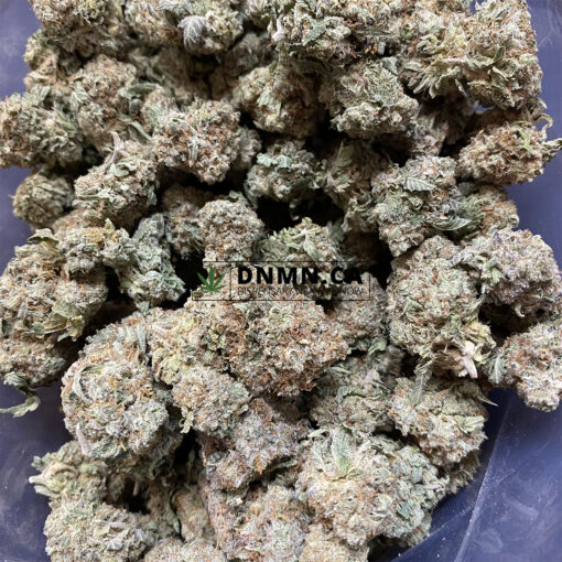 Animal Cookies - Cheap Weed Canada - Dispensary Near Me Now