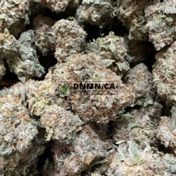 Animal Cookies - Online Dispensary Canada - Dispensary Near Me Now