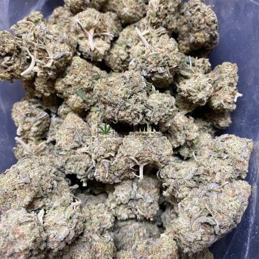 Blue Runtz aka Blue Cap Crush - Cheap Weed Canada - Dispensary Near Me Now