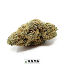 Chocolate Kush aka Grape Pie - Buy Weed Online - Dispensary Near Me Now