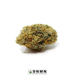 Girl Scout Cookies aka Grapefruit Haze - Buy Weed Online - Dispensary Near Me Now