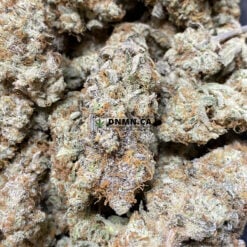 New York Sour Diesel - Online Dispensary Canada - Dispensary Near Me Now