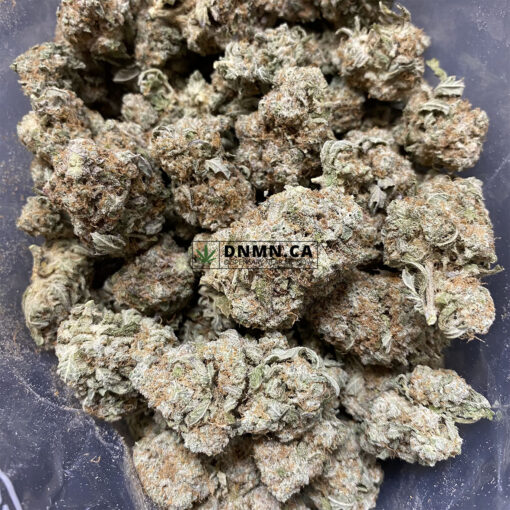 Tangerine Dream - Cheap Weed Canada - Dispensary Near Me Now