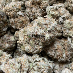 Tangerine Dream - Online Dispensary Canada - Dispensary Near Me Now