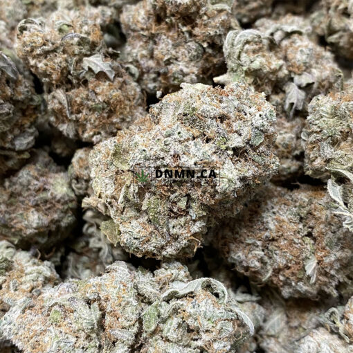 Tangerine Dream - Online Dispensary Canada - Dispensary Near Me Now