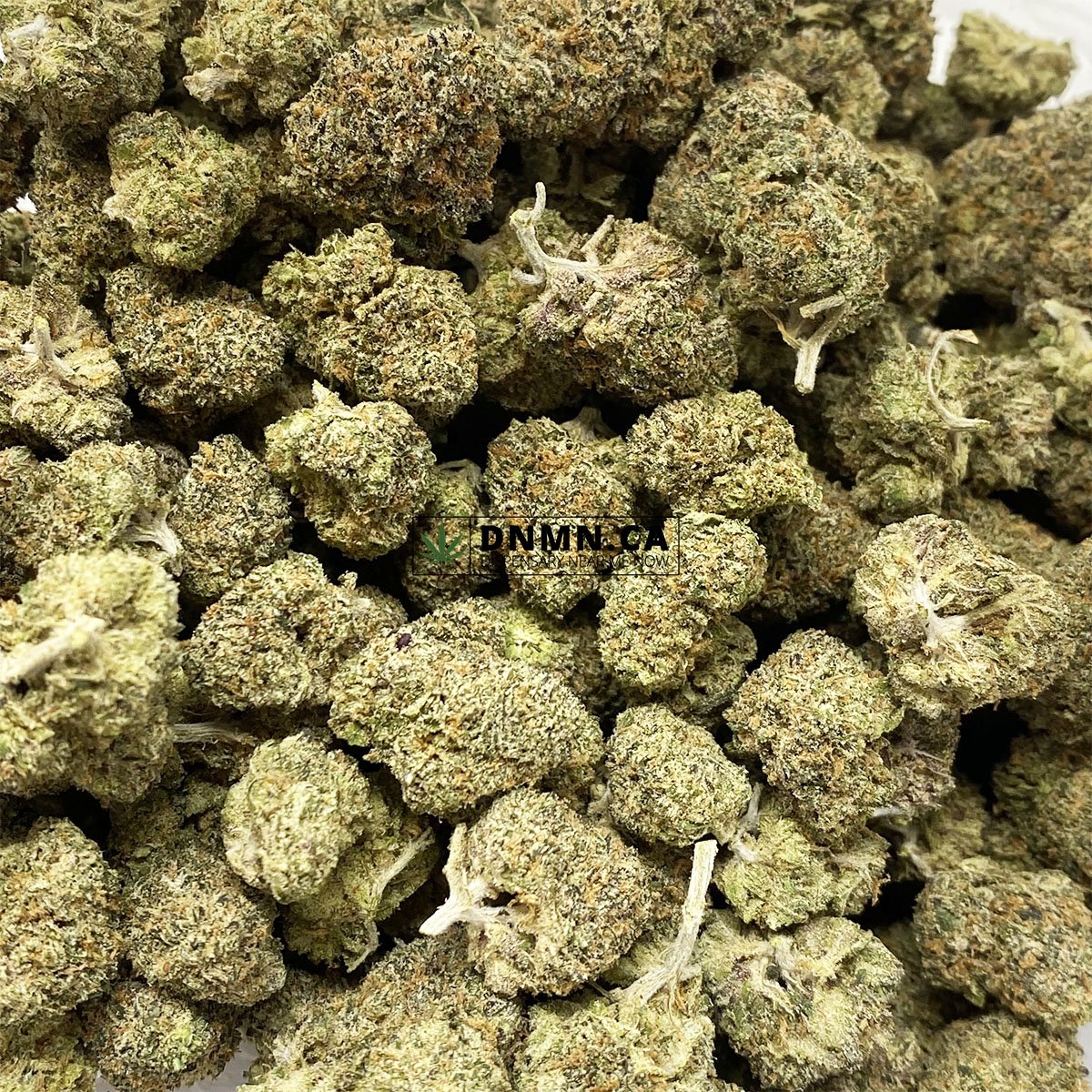 Black Mamba - Online Dispensary Canada - Dispensary Near Me Now