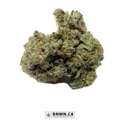 Bruce Banner OG - Buy Weed Online - Dispensary Near Me Now