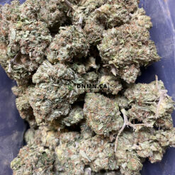 Bruce Banner OG - Cheap Weed Canada - Dispensary Near Me Now