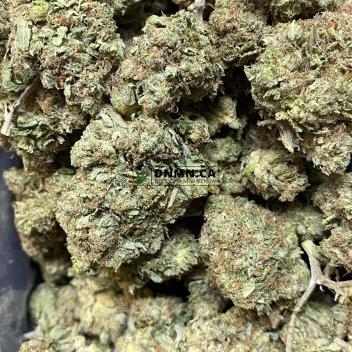 Bruce Banner OG - Online Dispensary Canada - Dispensary Near Me Now