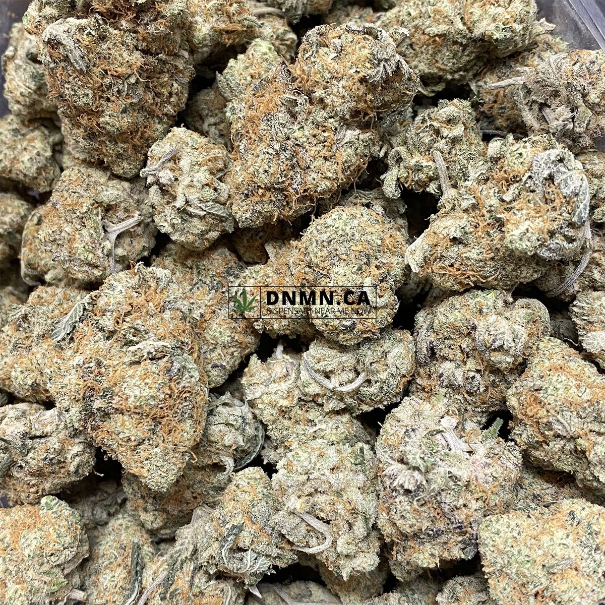 Thin Mint Online Dispensary Canada Dispensary Near Me Now