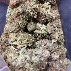 Gassy Rockstar - Cheap Weed Canada - Dispensary Near Me Now