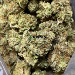 Gassy Rockstar - Online Dispensary Canada - Dispensary Near Me Now