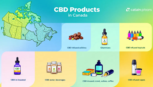 How to Choose the Right CBD Product for You in Canada