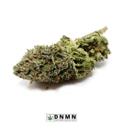 Jedi Kush - Buy Weed Online - Dispensary Near Me Now