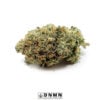 Pink Tuna - Buy Weed Online - Dispensary Near Me Now