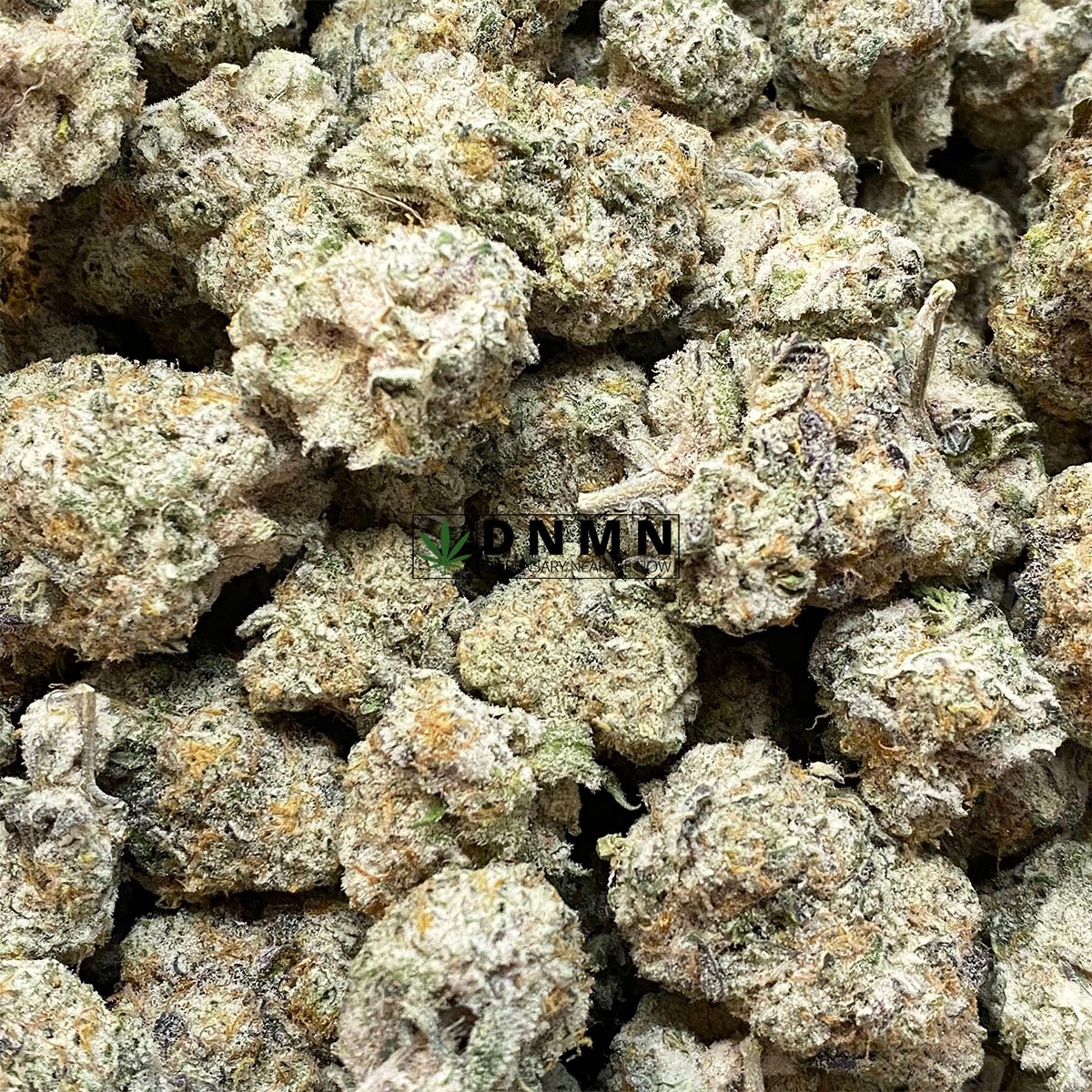 Purple Mac 10 - Buy Weed Online - Dispensary Near Me Now